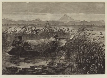 Skydning af vandfugle på Mirambala-søen, Afrika